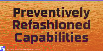 Sui Generis Font Poster 2