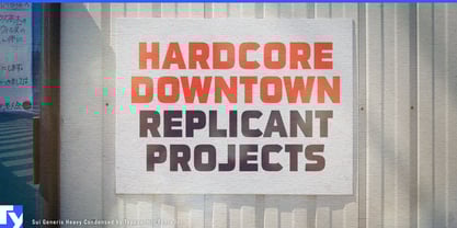 Sui Generis Font Poster 6