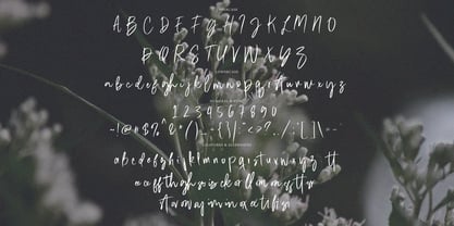Ristina British Signature Font Poster 4