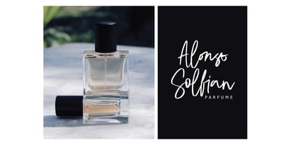 Ristina British Signature Font Poster 9