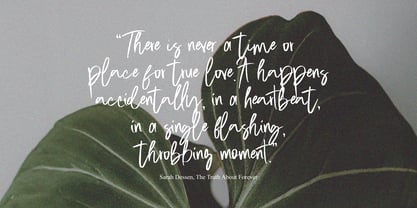Ristina British Signature Font Poster 3
