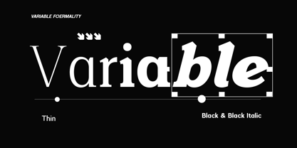 Foermality Serif Variable Font Poster 2