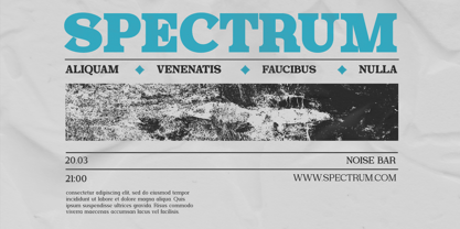 Foermality Serif Variable Font Poster 7