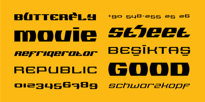 Logopedia Now Font Poster 9