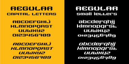 Logopedia Now Font Poster 7