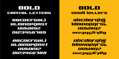 Logopedia Now Font Poster 8