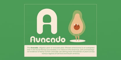 Pufilo Tropic Font Poster 3