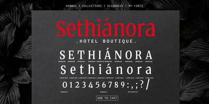 Quinget Variable Font Poster 12