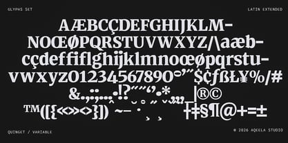 Quinget Variable Font Poster 8