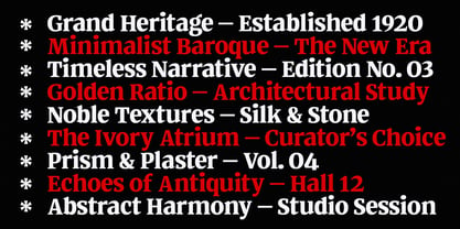 Quinget Variable Font Poster 10