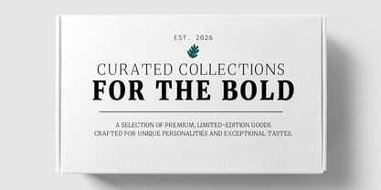 Quinget Variable Font Poster 15