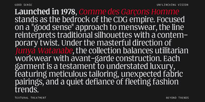 Quinget Variable Font Poster 4