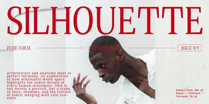 Quinget Variable Font Poster 3