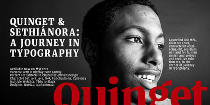 Quinget Variable Font Poster 14