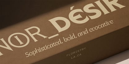 SLTF Arcilla Font Poster 10