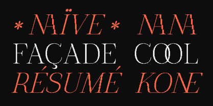 The Pixel Editorial Font Poster 15