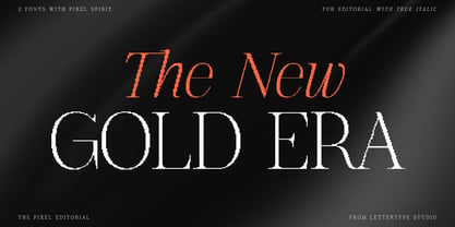 The Pixel Editorial Font Poster 14