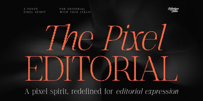 The Pixel Editorial Font Poster 1