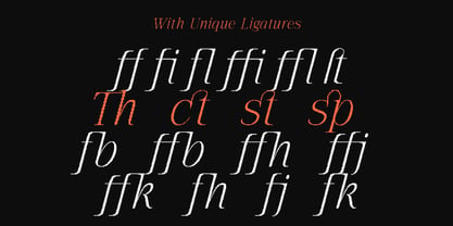 The Pixel Editorial Font Poster 12
