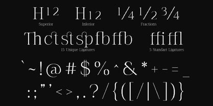 The Pixel Editorial Font Poster 10