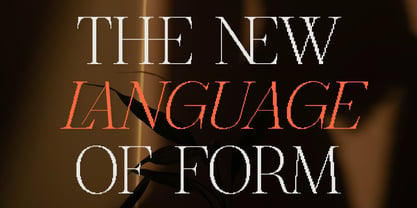The Pixel Editorial Font Poster 6