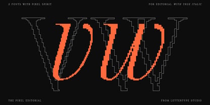 The Pixel Editorial Font Poster 7