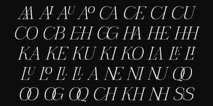 The Pixel Editorial Font Poster 13