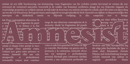 Amnesist Font Poster 5