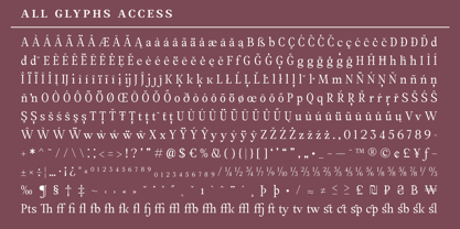 Amnesist Font Poster 14