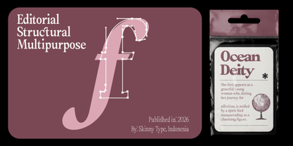 Amnesist Font Poster 9