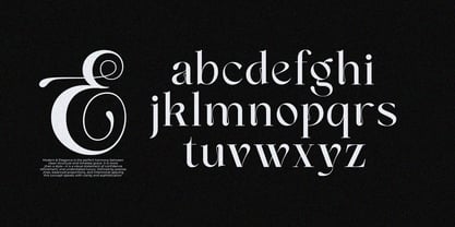Anajem Serif Font Poster 11