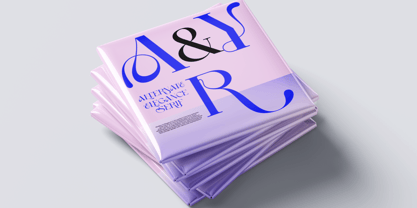 Anajem Serif Font Poster 7