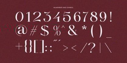 Anajem Serif Font Poster 9