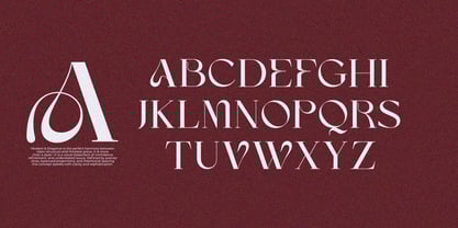 Anajem Serif Font Poster 10