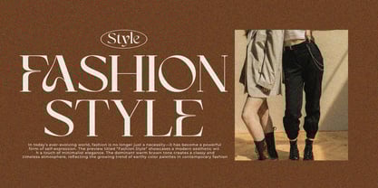 Anajem Serif Font Poster 4