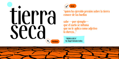 Modestia Font Poster 7