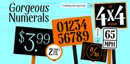 Modestia Font Poster 6