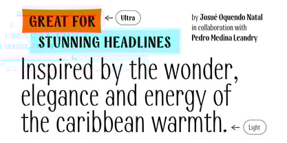 Modestia Font Poster 2