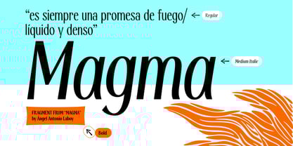 Modestia Font Poster 4