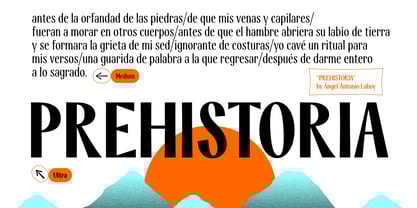 Modestia Font Poster 5