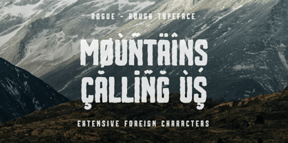 Rogue Font Poster 12
