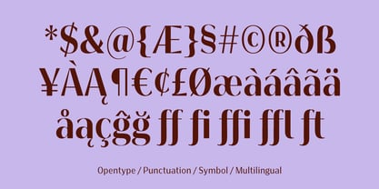 Bankins Condensed Font Poster 15