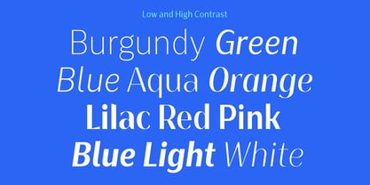 Bankins Condensed Font Poster 3