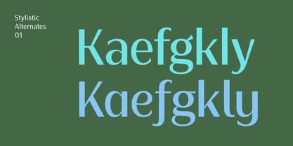 Bankins Condensed Font Poster 7