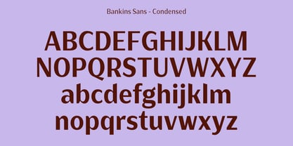 Bankins Condensed Font Poster 13