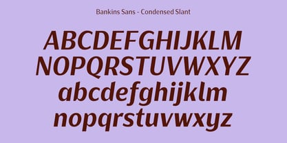Bankins Condensed Font Poster 14