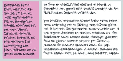 PN Flower Market Font Poster 5
