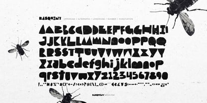 Basquint Font Poster 6