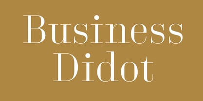Business Didone Font Poster 1