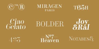 Business Didone Font Poster 5